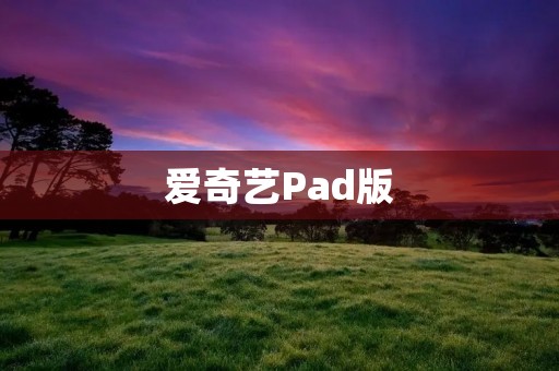 爱奇艺Pad版：随时随地畅享精彩影视