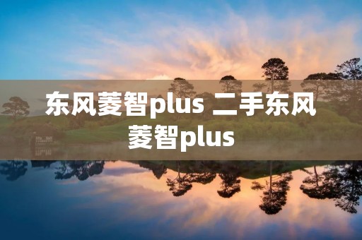 东风菱智plus 二手东风菱智plus