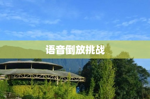 语音倒放挑战：探索声音的反转之美