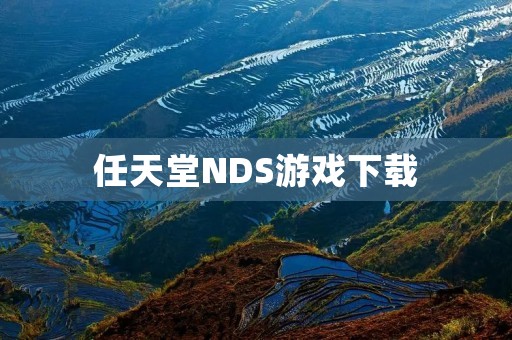 任天堂NDS游戏下载：玩转经典游戏的最佳选择