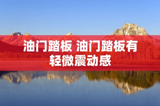 油门踏板 油门踏板有轻微震动感 油门踏板 油门踏板有轻微震动感