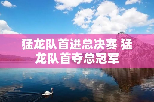 猛龙队首进总决赛 猛龙队首夺总冠军