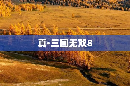 真·三国无双8:重温经典,演绎传奇!