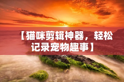 【猫咪剪辑神器，轻松记录宠物趣事】