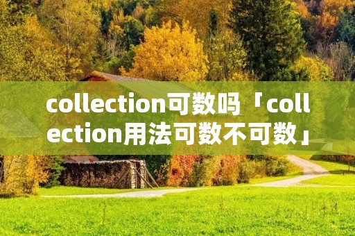 collection可数吗「collection用法可数不可数」