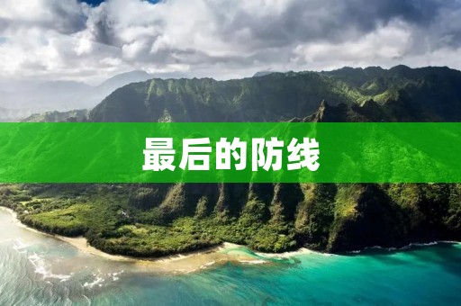 最后的防线：一个全新的战略射击游戏