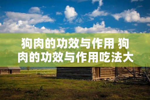 狗肉的功效与作用 狗肉的功效与作用吃法大全
