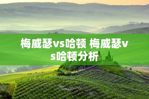 梅威瑟vs哈顿 梅威瑟vs哈顿分析