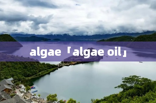 algae「algae oil」