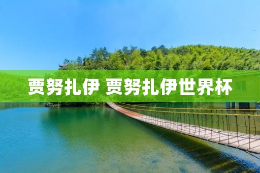 贾努扎伊 贾努扎伊世界杯 贾努扎伊 贾努扎伊世界杯