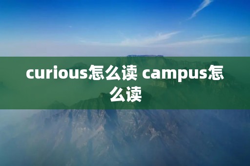curious怎么读 campus怎么读