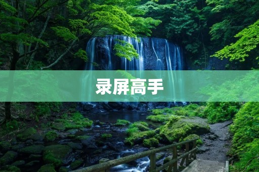 录屏高手：轻松记录屏幕，畅享高效工作