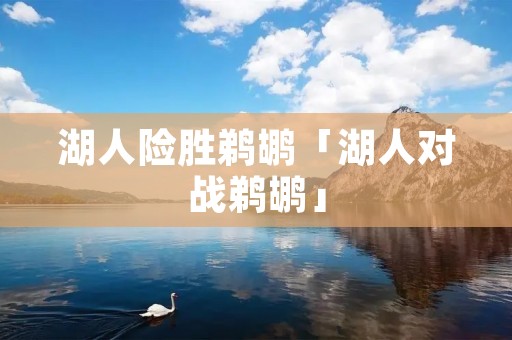 湖人险胜鹈鹕「湖人对战鹈鹕」
