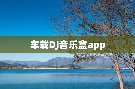 车载DJ音乐盒app:打造专属车载音乐空间 车载DJ音乐盒app:打造专属车载音乐空间