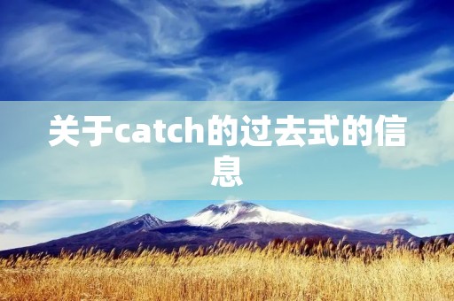 关于catch的过去式的信息
