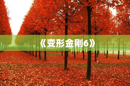 《变形金刚6》:机器人战士再度出击,引爆视听盛宴! 《变形金刚6》:机器人战士再度出击,引爆视听盛宴!