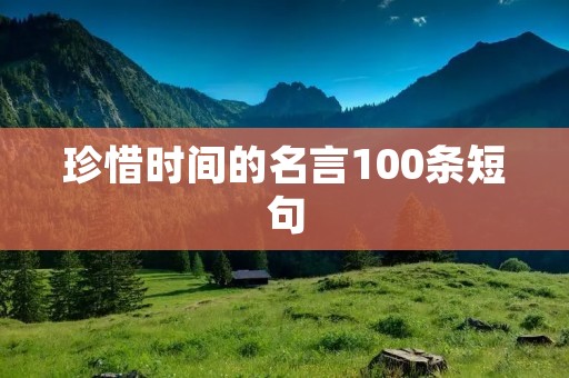 珍惜时间的名言100条短句：把握时间，珍惜生命