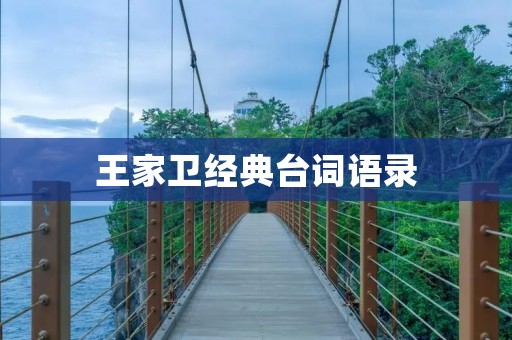 王家卫经典台词语录:用言语描绘人生沧桑 王家卫经典台词语录:用言语描绘人生沧桑