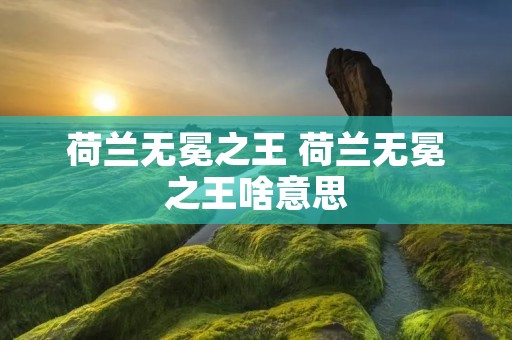 荷兰无冕之王 荷兰无冕之王啥意思