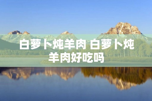 白萝卜炖羊肉 白萝卜炖羊肉好吃吗