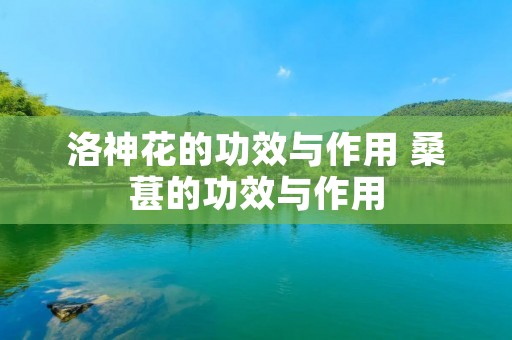 洛神花的功效与作用 桑葚的功效与作用 洛神花的功效与作用 桑葚的功效与作用
