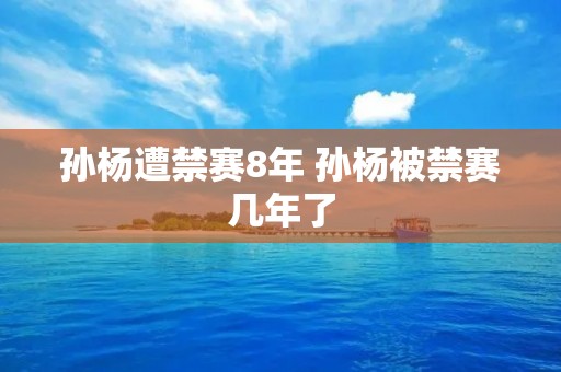 孙杨遭禁赛8年 孙杨被禁赛几年了