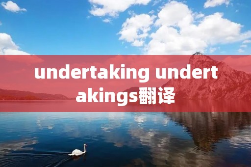 undertaking undertakings翻译