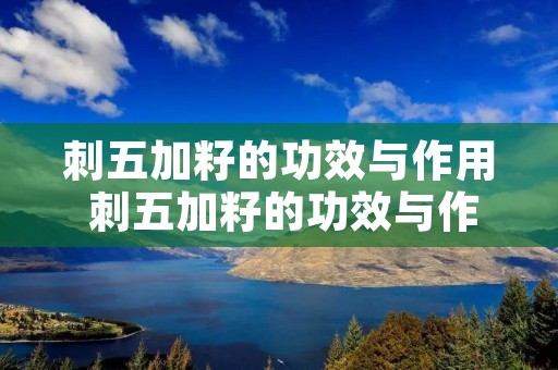 刺五加籽的功效与作用 刺五加籽的功效与作用和副作用