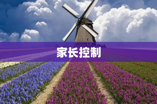 家长控制：如何在保护孩子的同时培养他们的自主能力