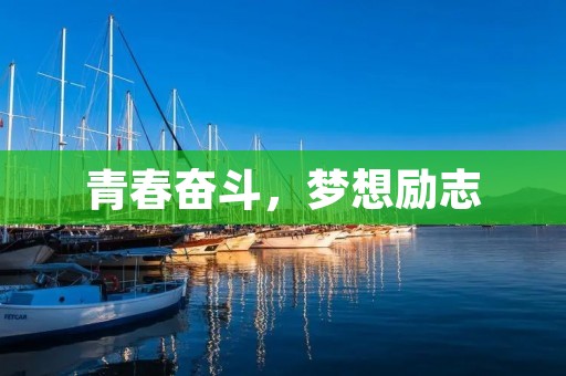 青春奋斗，梦想励志：用汗水谱写人生华章
