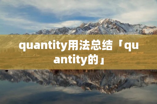 quantity用法总结「quantity的」