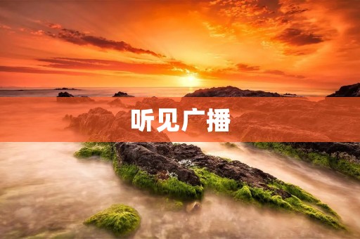 听见广播:一场意外的邂逅 听见广播:一场意外的邂逅
