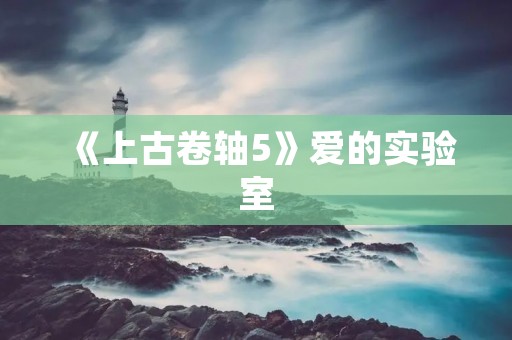 《上古卷轴5》爱的实验室：让爱与科技完美结合