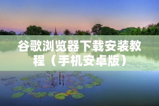 谷歌浏览器下载安装教程（手机安卓版）