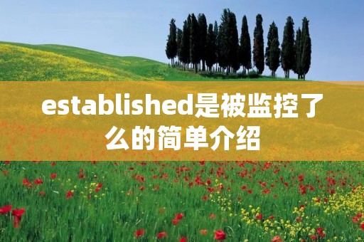 established是被监控了么的简单介绍 established是被监控了么的简单介绍