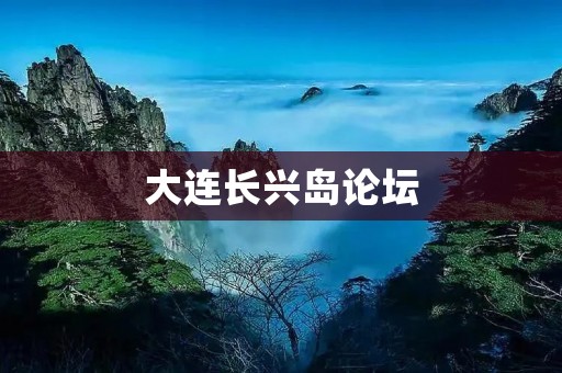 大连长兴岛论坛：探索岛屿发展新路径