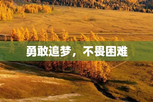 勇敢追梦，不畏困难