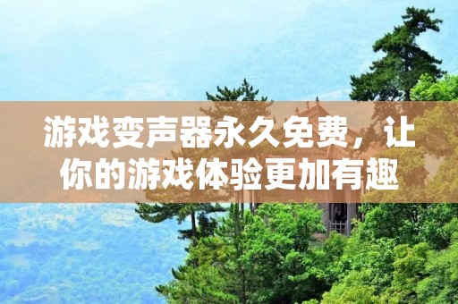 游戏变声器永久免费，让你的游戏体验更加有趣！