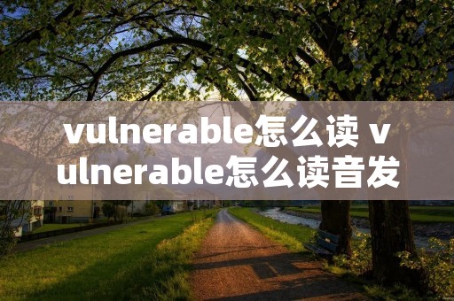vulnerable怎么读 vulnerable怎么读音发音英语 vulnerable怎么读 vulnerable怎么读音发音英语