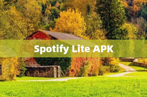 Spotify Lite APK：轻量级音乐应用，节省手机空间