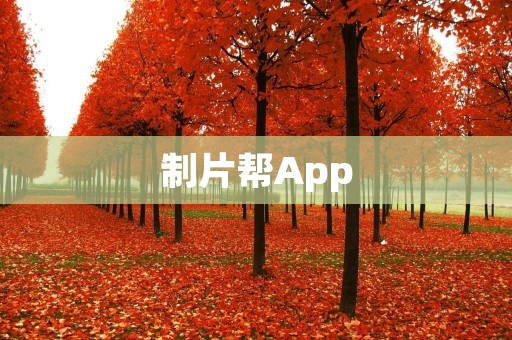 制片帮App:打造专业电影制片助手,全方位解决制片难题 制片帮App:打造专业电影制片助手,全方位解决制片难题