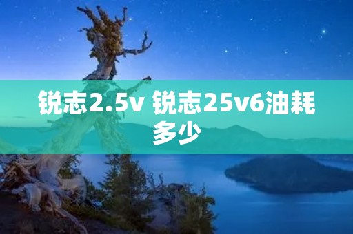锐志2.5v 锐志25v6油耗多少 锐志2.5v 锐志25v6油耗多少