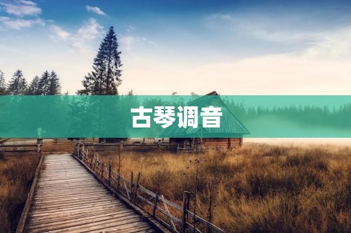 古琴调音：保护古琴声音之美