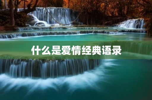 什么是爱情经典语录：深情话语传递爱的真谛
