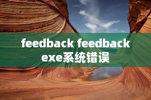 feedback feedbackexe系统错误