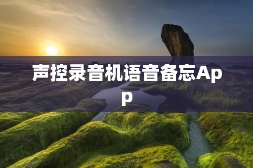 声控录音机语音备忘App：实现智能语音备忘的便捷工具