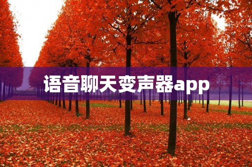 语音聊天变声器app：让你的聊天更有趣！