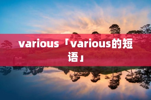 various「various的短语」