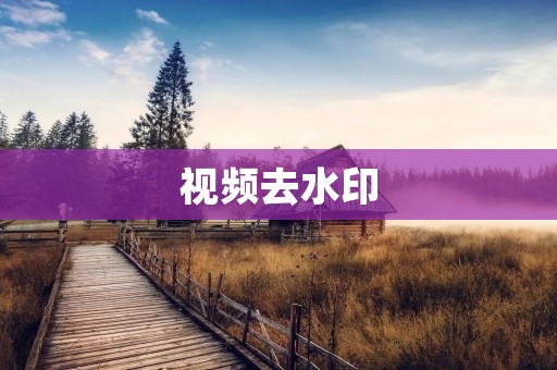 视频去水印：简单高效的解决方案