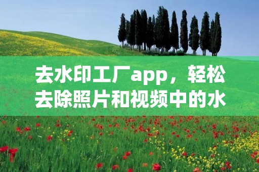 去水印工厂app,轻松去除照片和视频中的水印 去水印工厂app,轻松去除照片和视频中的水印